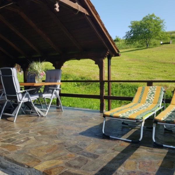 Outside garden beautiful villa renting romania